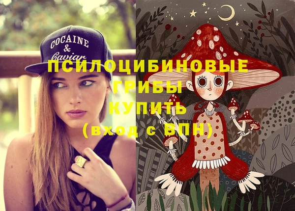 ECSTASY Абаза