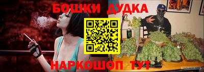 индика Ачхой-Мартан