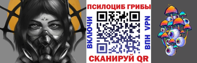 Галлюциногенные грибы Psilocybe KRAKEN ССЫЛКА Курск