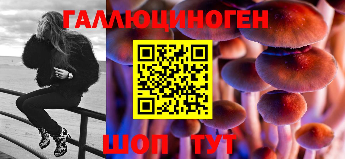 Курск  наркотики  Вход с VPN  Псилоцибиновые грибы Cubensis 