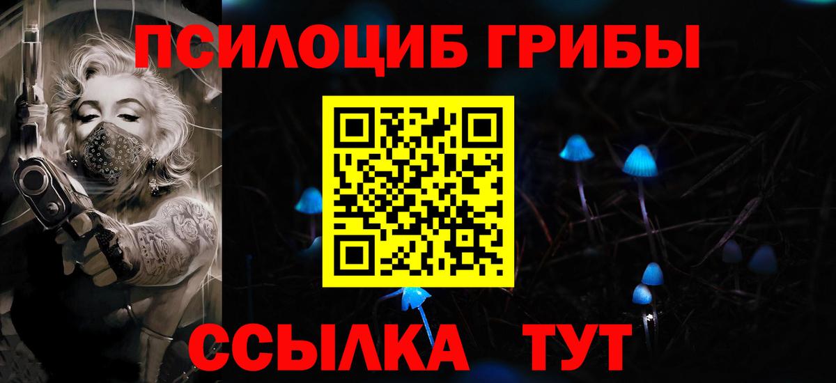 Псилоцибиновые грибы мицелий Курск