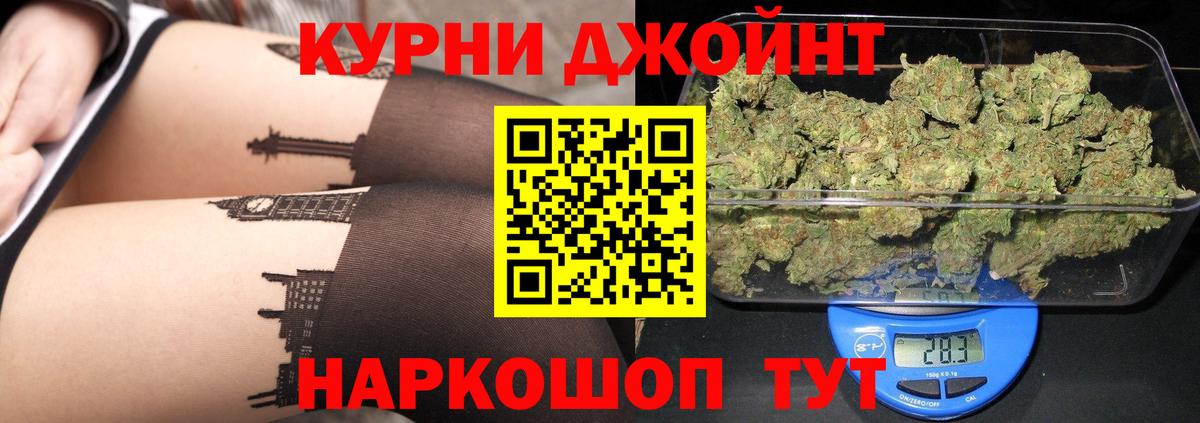 Марихуана сатива Курск